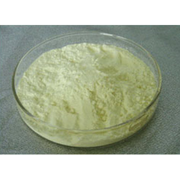 Royal Jelly Powder-01.jpg